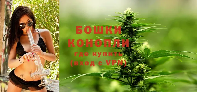 Марихуана SATIVA & INDICA  ссылка на мегу онион  Алексеевка 